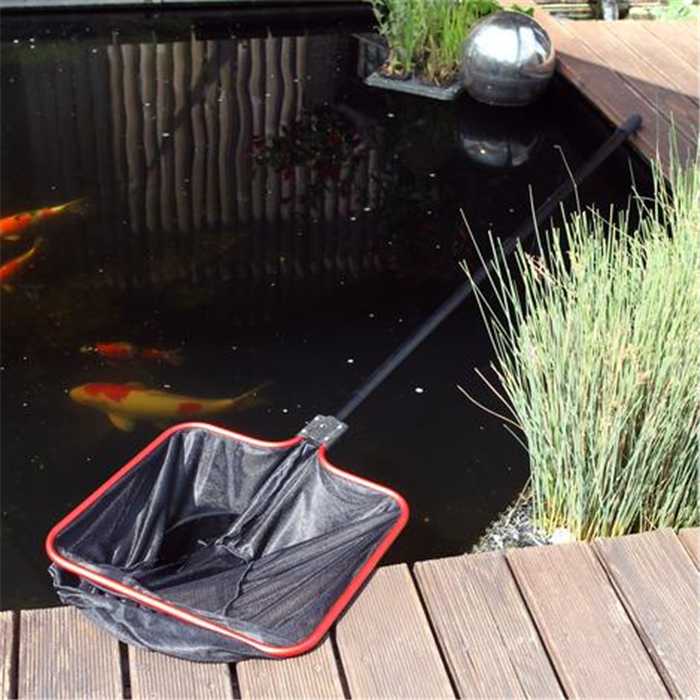 Fish Net Complete Aquiflor | JBL POND FISH NET S - FINE-MESHED NET WITH 160CM TELESCOPIC