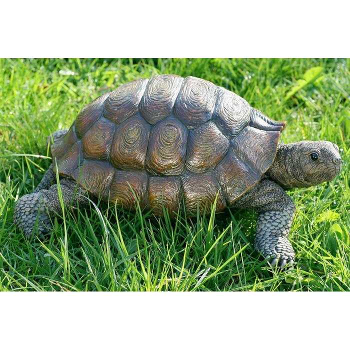 https://shop.aquiflor.com/images/ashx/tortue-decoration-en-resine-34-cm-2.jpeg?s_id=1016636&imgfield=s_image2&imgwidth=700&imgheight=700